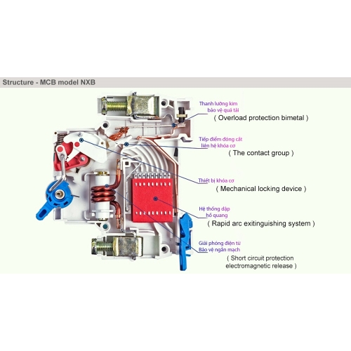 Cầu dao tự động MCB NXB-63 2P C40 6kA